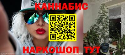 стафф Гулькевичи