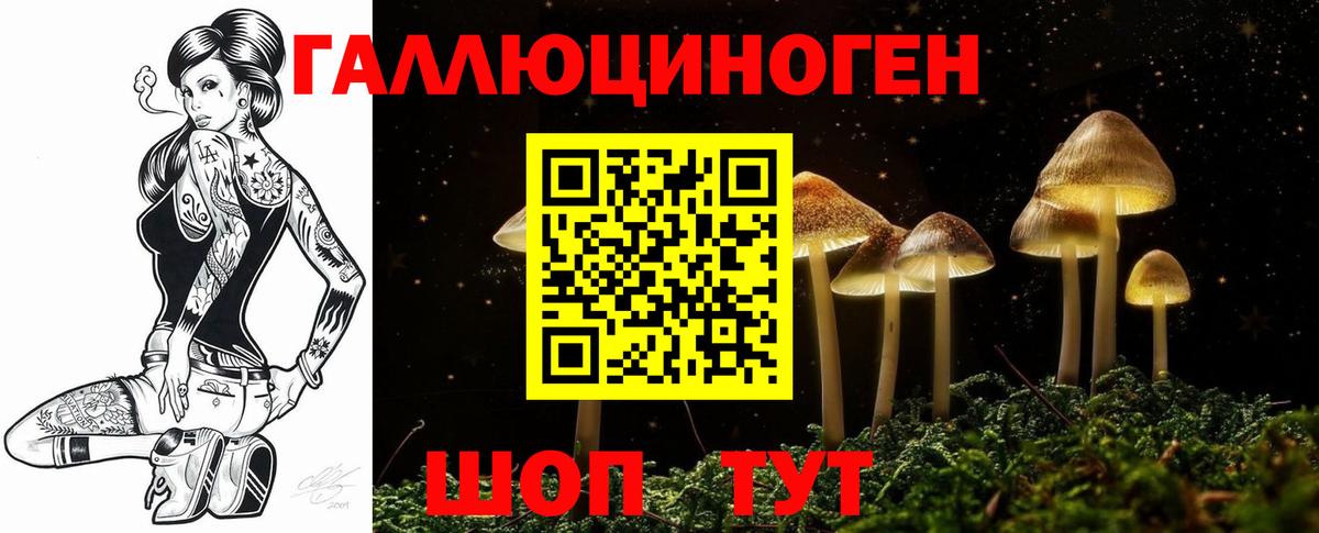 Наро-Фоминск  Галлюциногенные грибы прущие грибы  Вход с VPN 